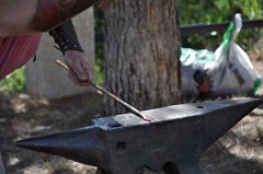 DSC_0359 (2)